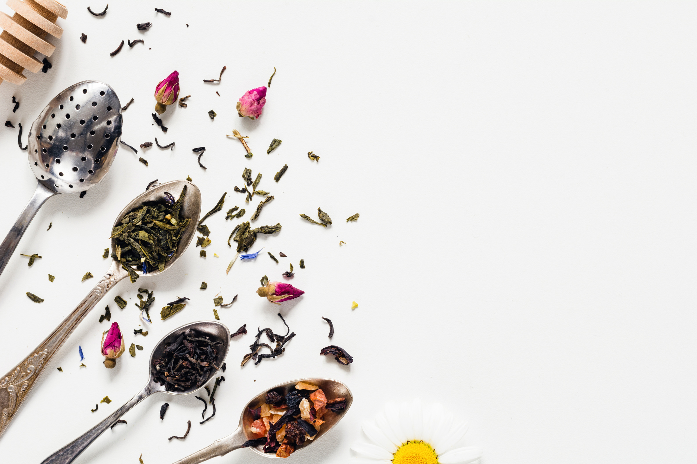 Dried tea leaf, herbal and green tea in tea spoons